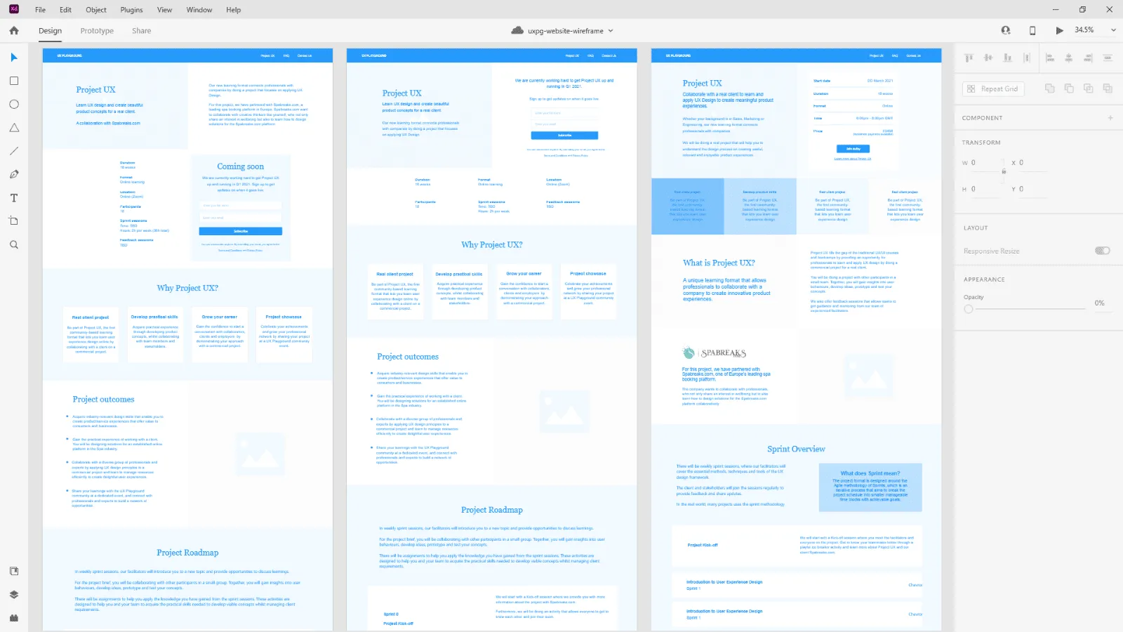 Wireframe variations for the Project UX landing page